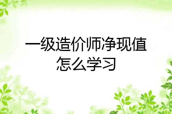 一级造价师净现值怎么学习