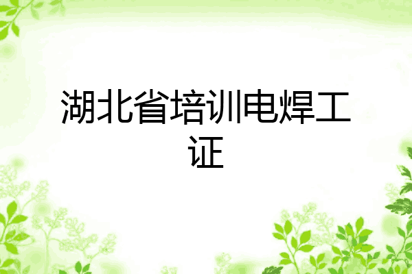 湖北省培训电焊工证