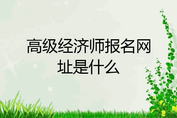 高级经济师报名网址是什么