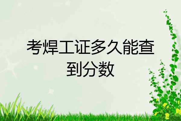 考焊工证多久能查到分数