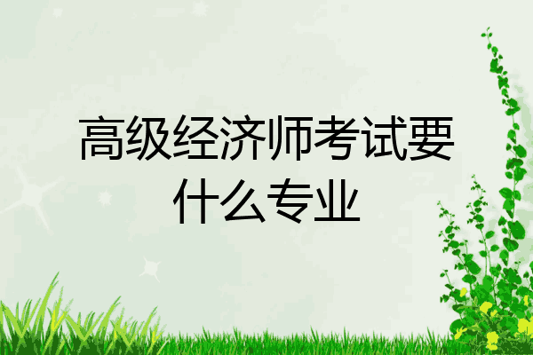 高级经济师考试要什么专业