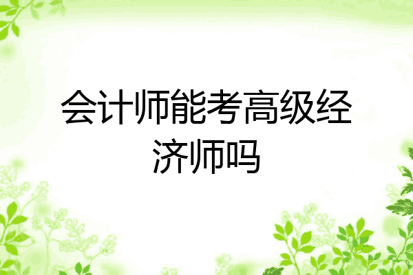 会计师能考高级经济师吗