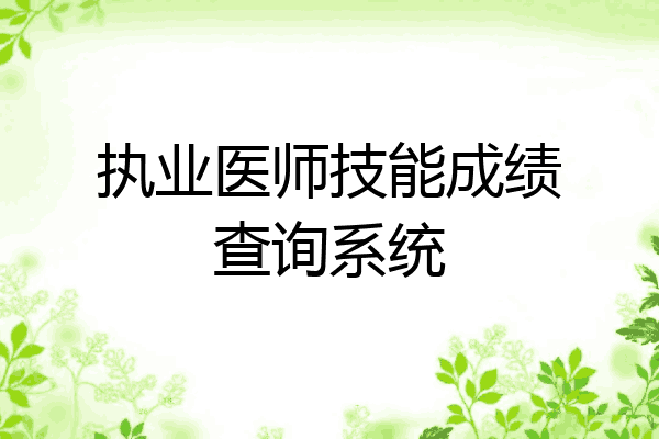 执业医师技能成绩查询系统