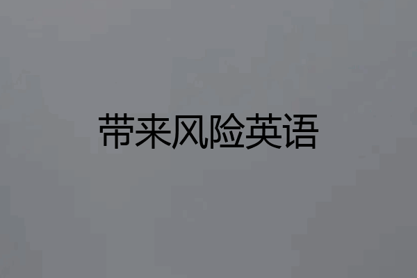带来风险英语