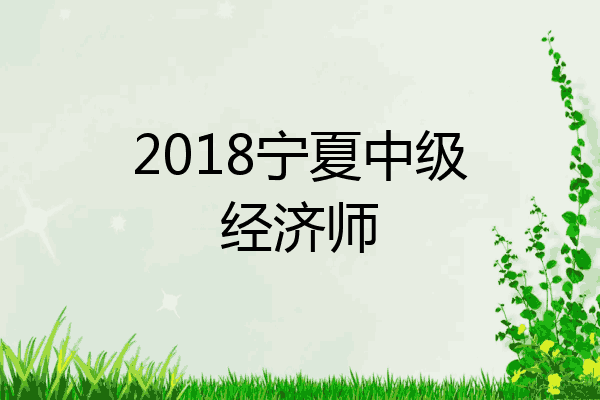 2018宁夏中级经济师