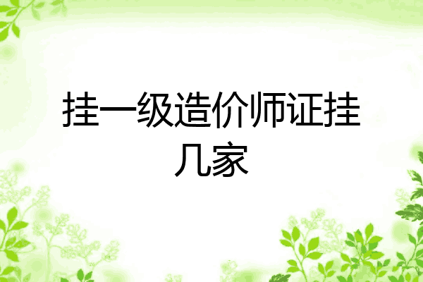 挂一级造价师证挂几家