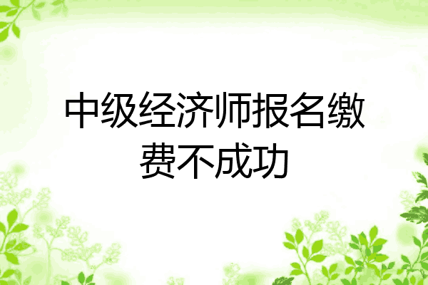 中级经济师报名缴费不成功