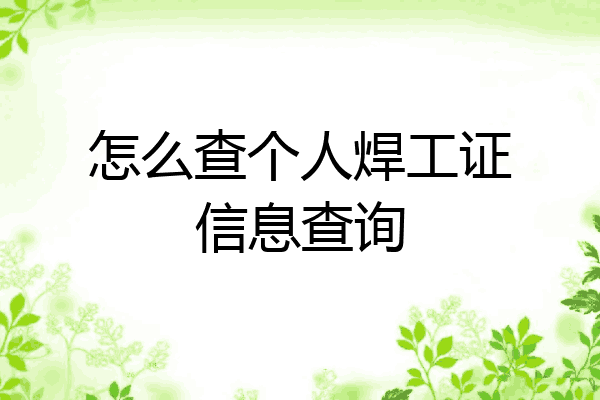 怎么查个人焊工证信息查询
