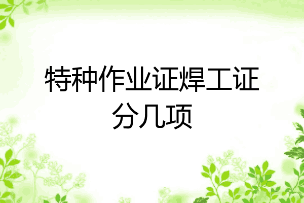 特种作业证焊工证分几项