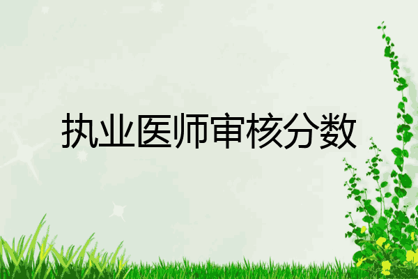 执业医师审核分数