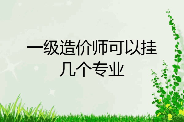 一级造价师可以挂几个专业