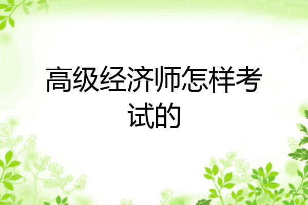 高级经济师怎样考试的