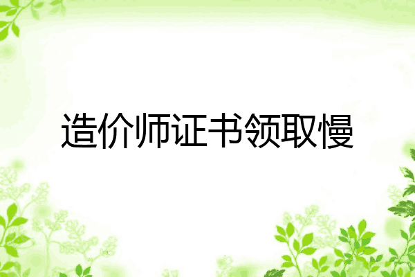 造价师证书领取慢