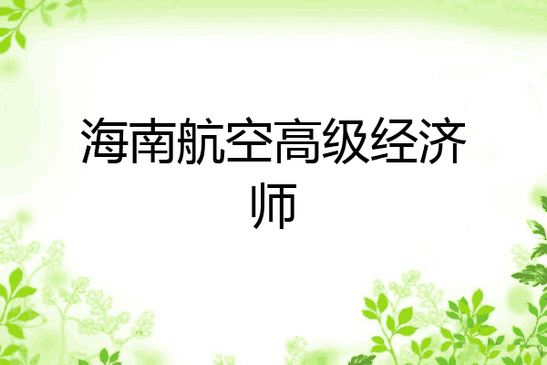 海南航空高级经济师