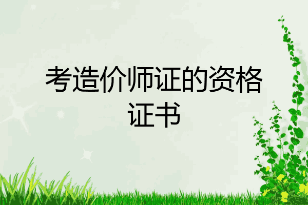 考造价师证的资格证书