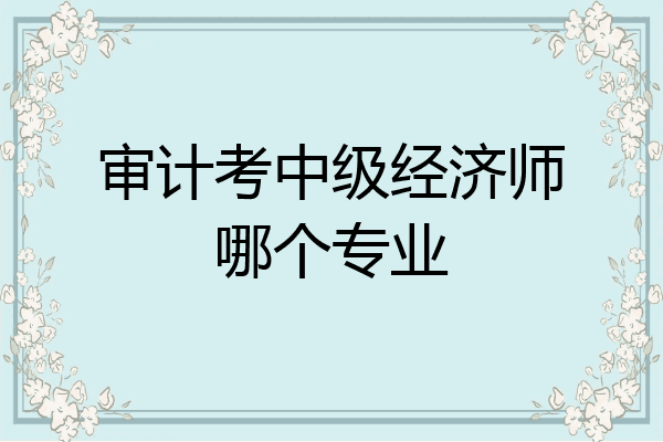 审计考中级经济师哪个专业