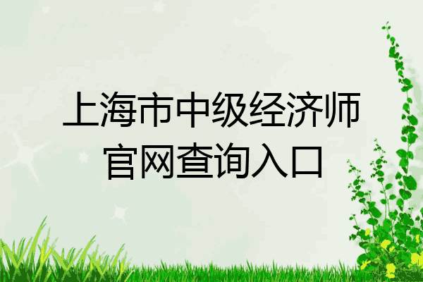 上海市中级经济师官网查询入口