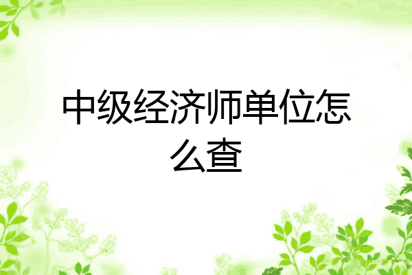 中级经济师单位怎么查