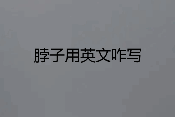 脖子用英文咋写
