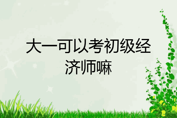 大一可以考初级经济师嘛