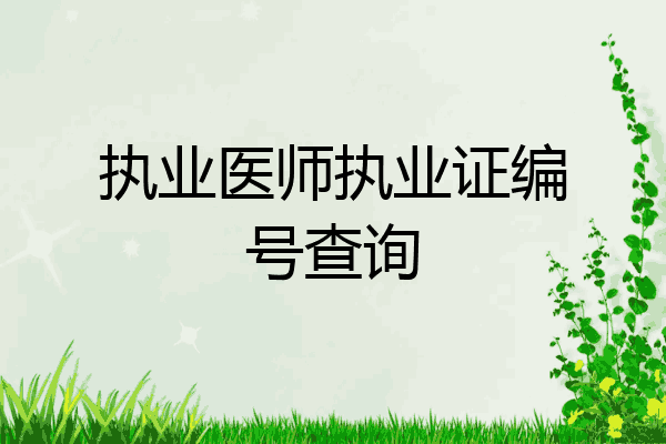 执业医师执业证编号查询