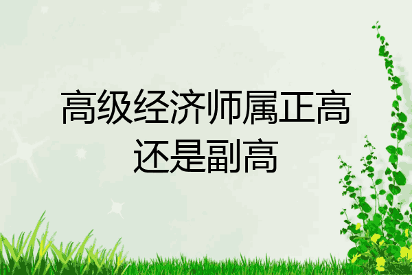 高级经济师属正高还是副高