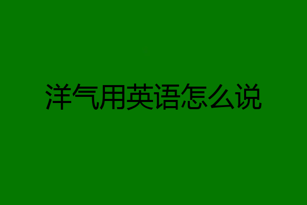 洋气用英语怎么说