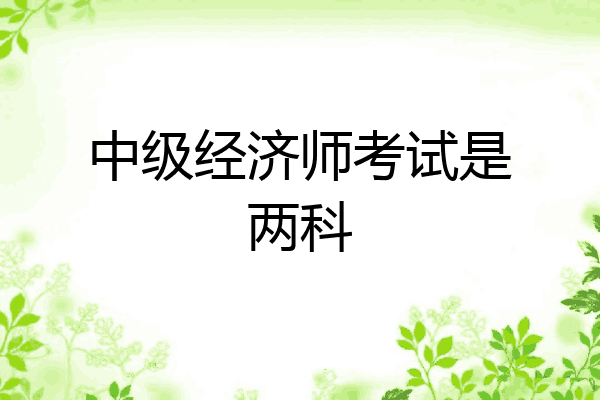 中级经济师考试是两科