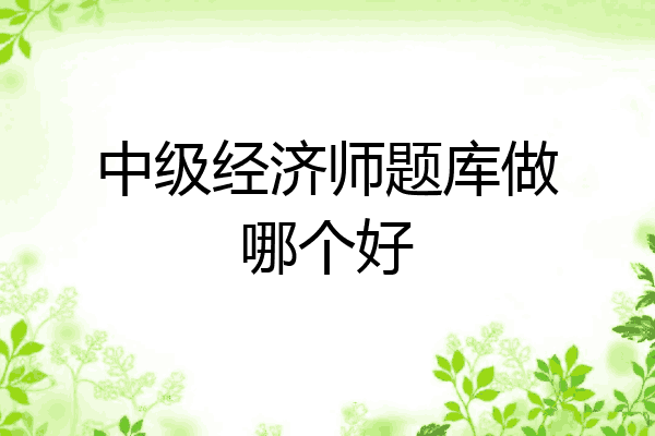 中级经济师题库做哪个好