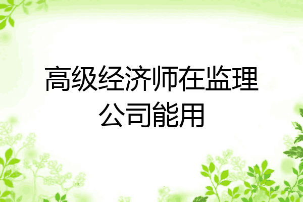 高级经济师在监理公司能用
