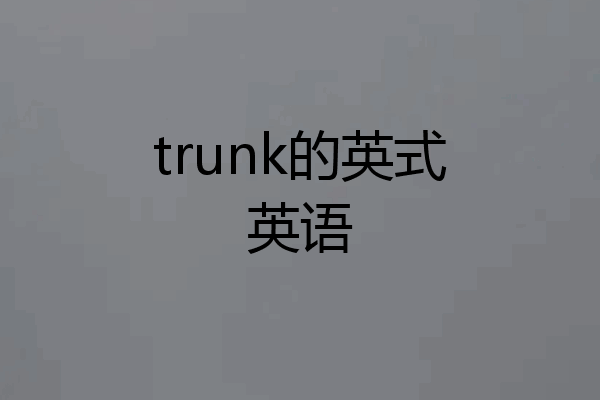 trunk的英式英语