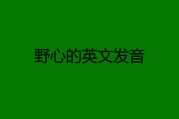 野心的英文发音