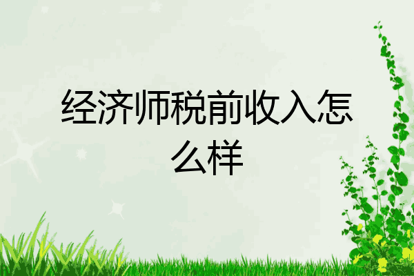 经济师税前收入怎么样