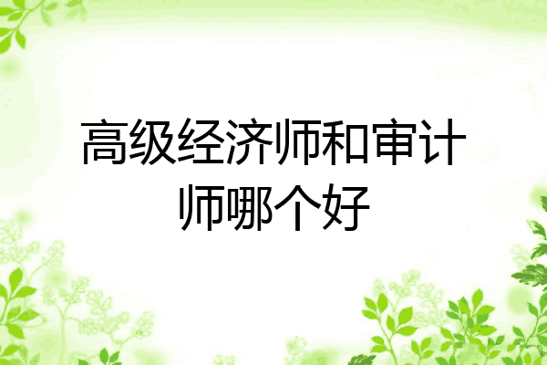 高级经济师和审计师哪个好