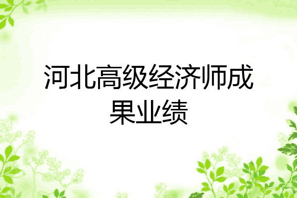 河北高级经济师成果业绩