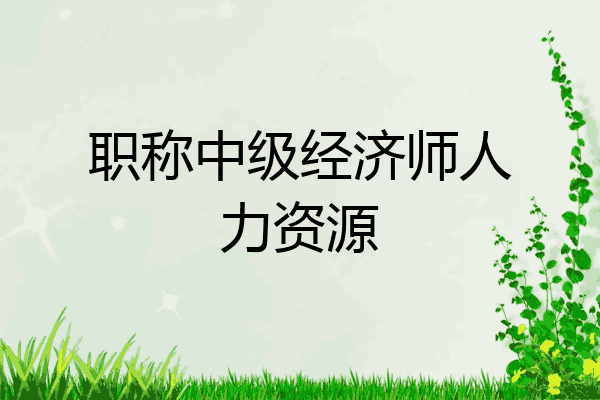 职称中级经济师人力资源
