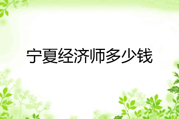 宁夏经济师多少钱