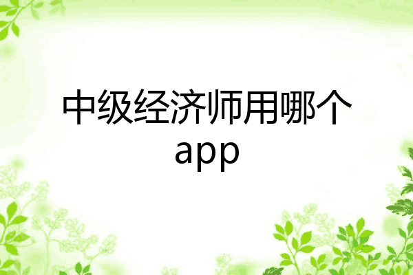 中级经济师用哪个app