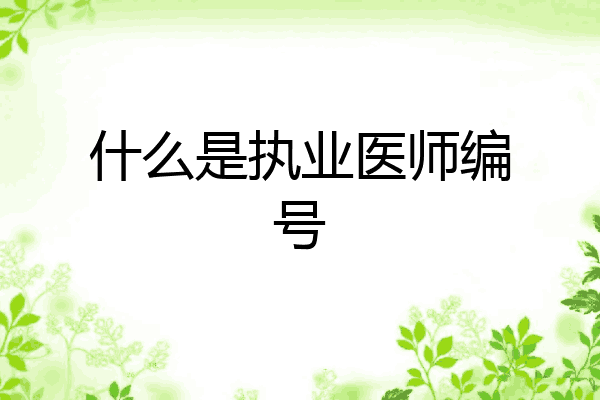 什么是执业医师编号