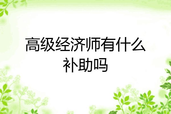 高级经济师有什么补助吗