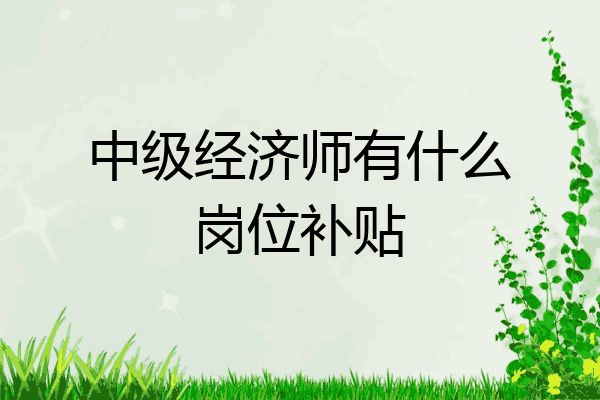 中级经济师有什么岗位补贴