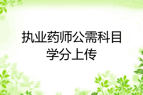 执业药师公需科目学分上传
