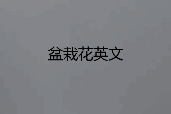 盆栽花英文