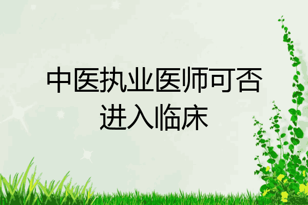 中医执业医师可否进入临床