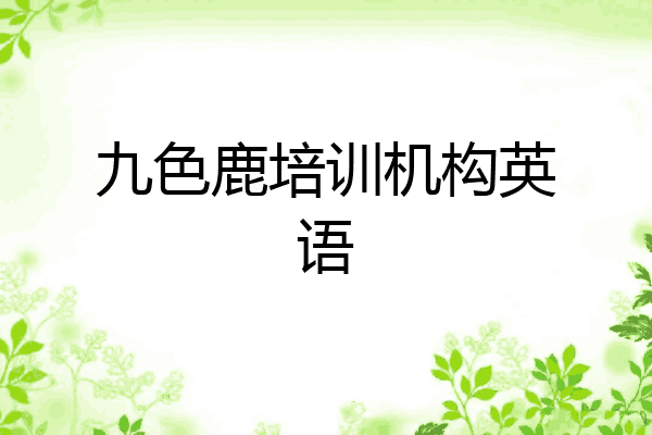 九色鹿培训机构英语