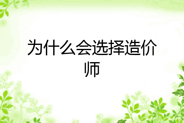 为什么会选择造价师