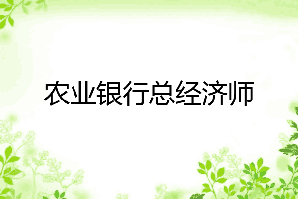 农业银行总经济师