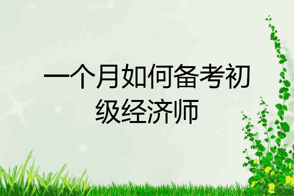 一个月如何备考初级经济师