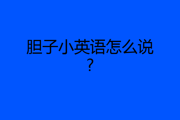 胆子小英语怎么说?