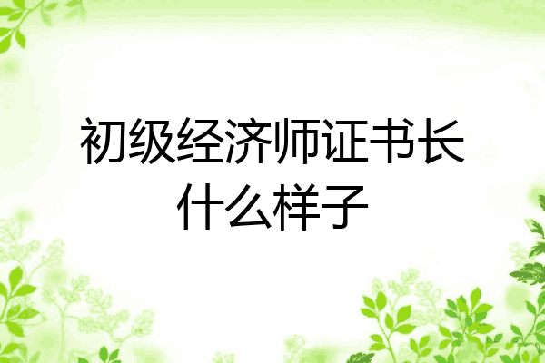 初级经济师证书长什么样子